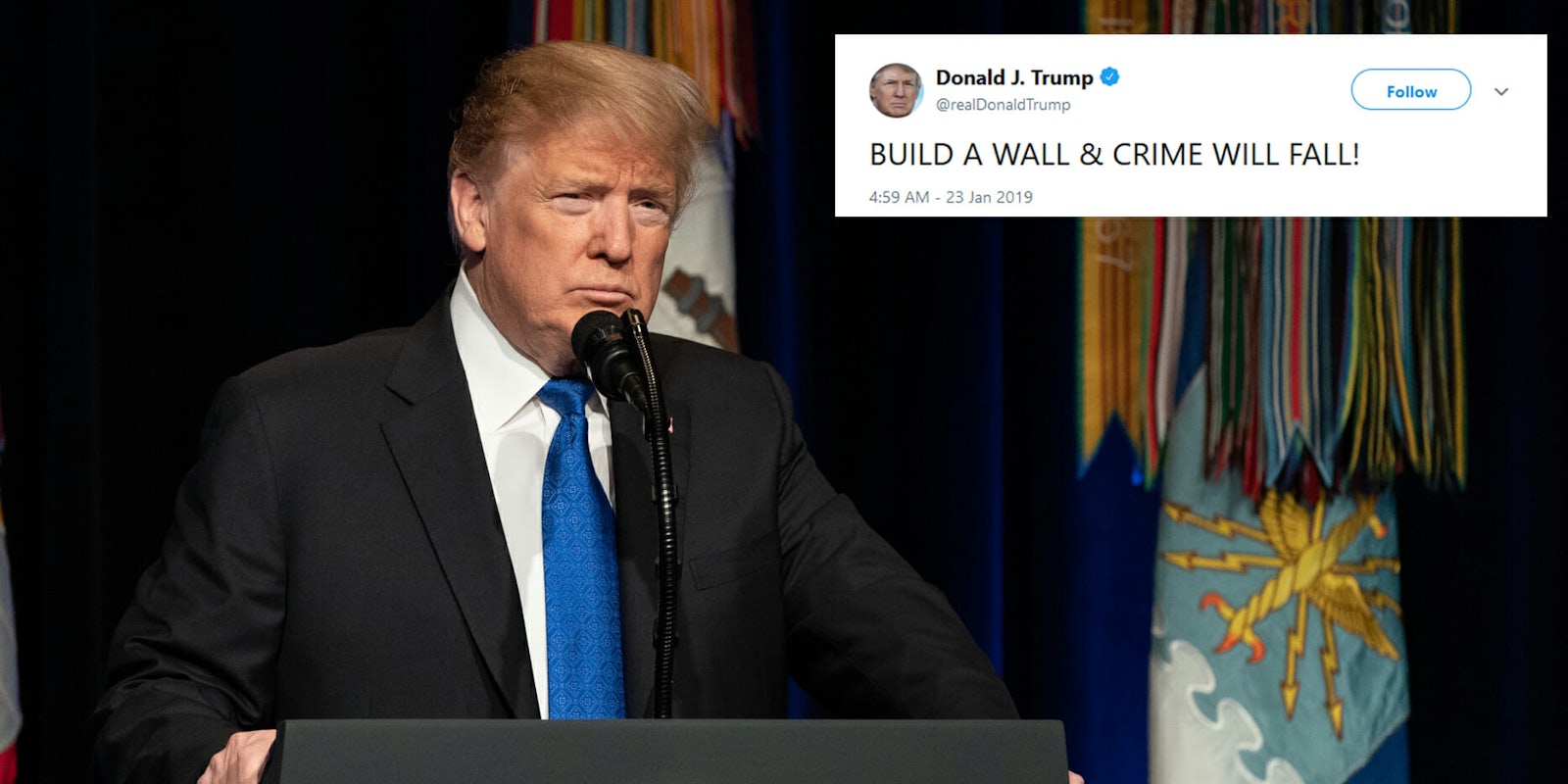 Buld a wall and crime will fall trump