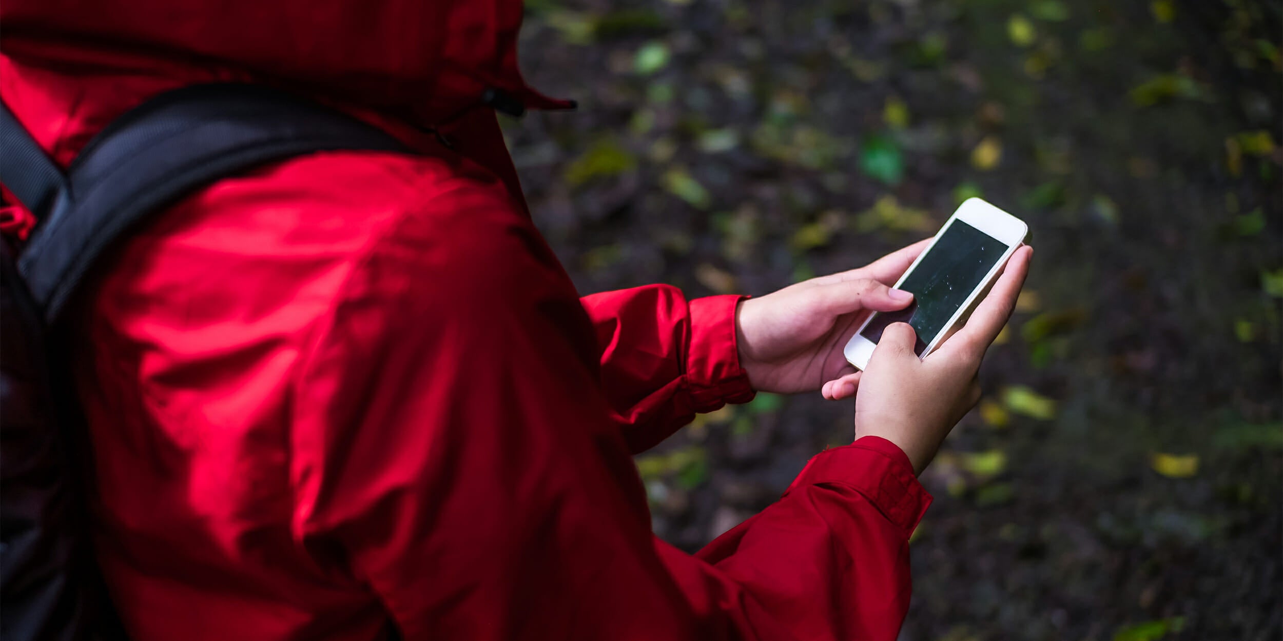 Памятка если ты заблудился в лесу. Памятка для заблудившихся в лесу. Памятка потерявшемуся в лесу. Памятка если собрался в лес. Как не заблудиться в лесу памятка для детей.