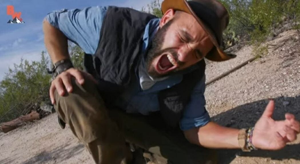 Coyote Peterson YouTube centipede