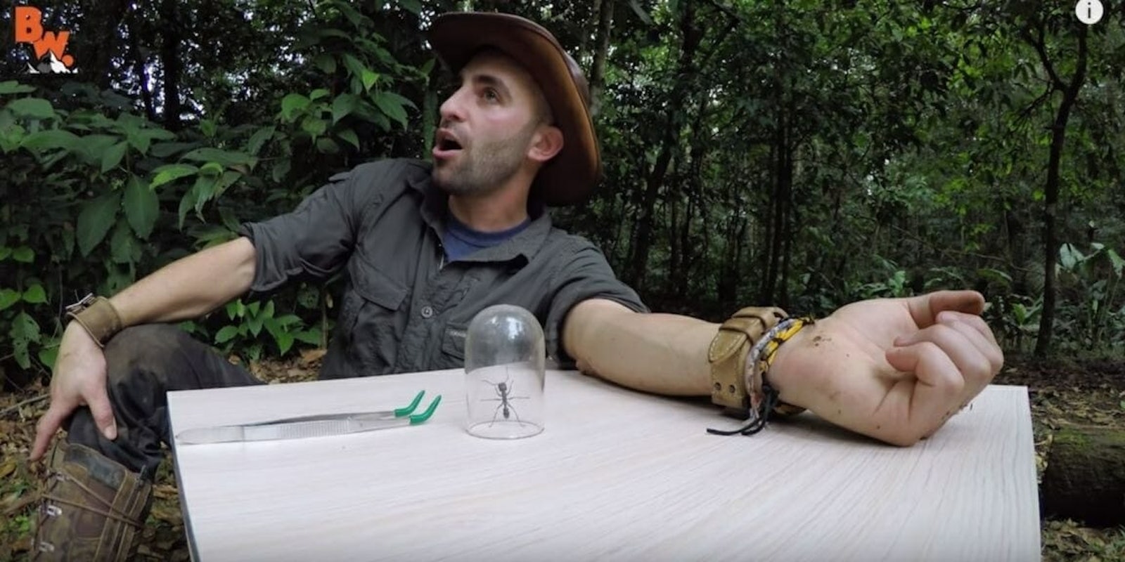 Coyote Peterson YouTube