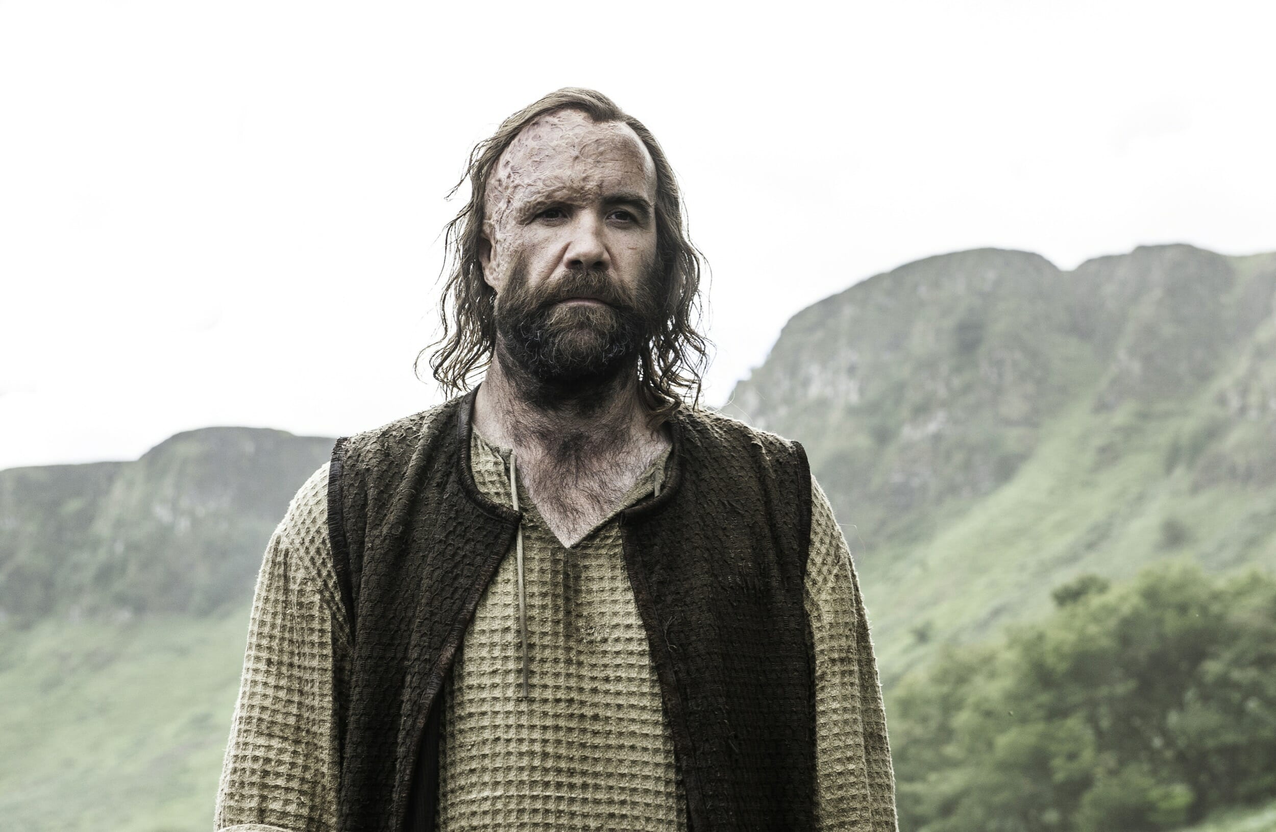 game of thrones cleganebowl hound