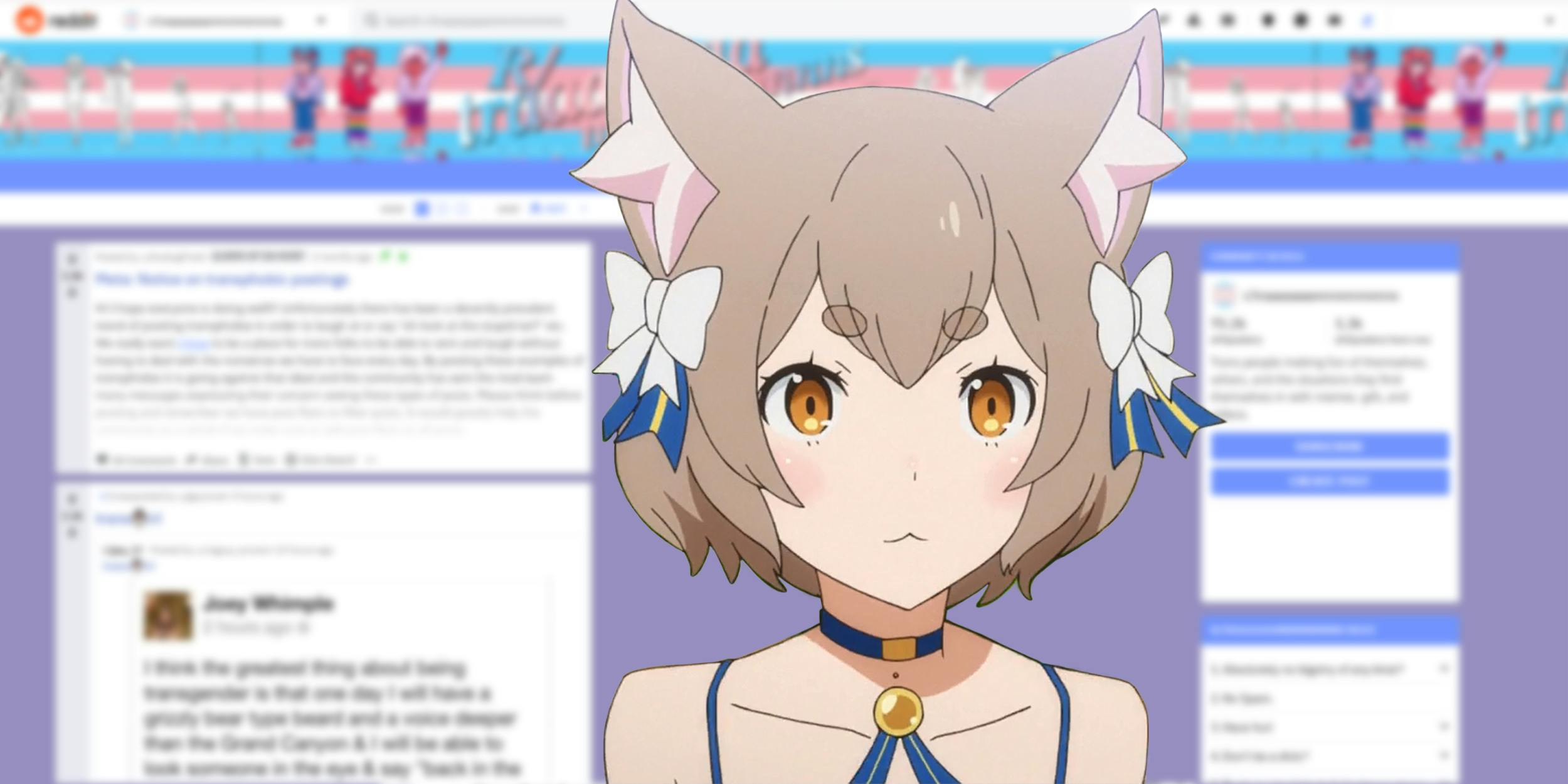 Because of how much that one meme template if her is used on this  subreddit, ive started to see this anime girl as a trans icon :  r/traaaaaaannnnnnnnnns