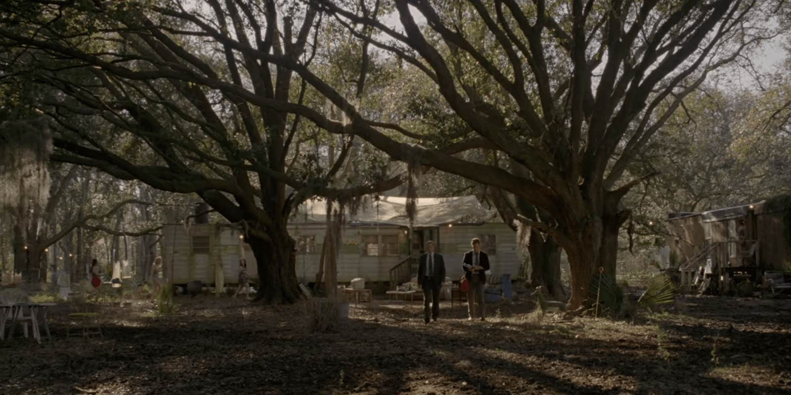 Watch true discount detective online