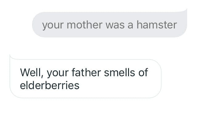 funny things to ask google home - elderberries
