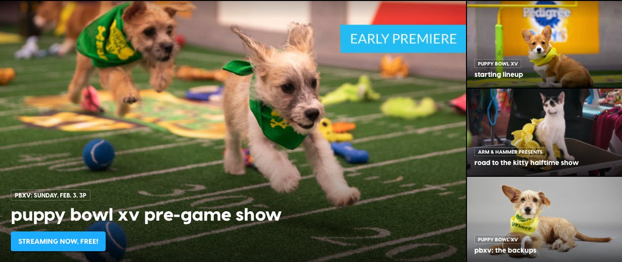 watch puppy bowl online free on animal planet