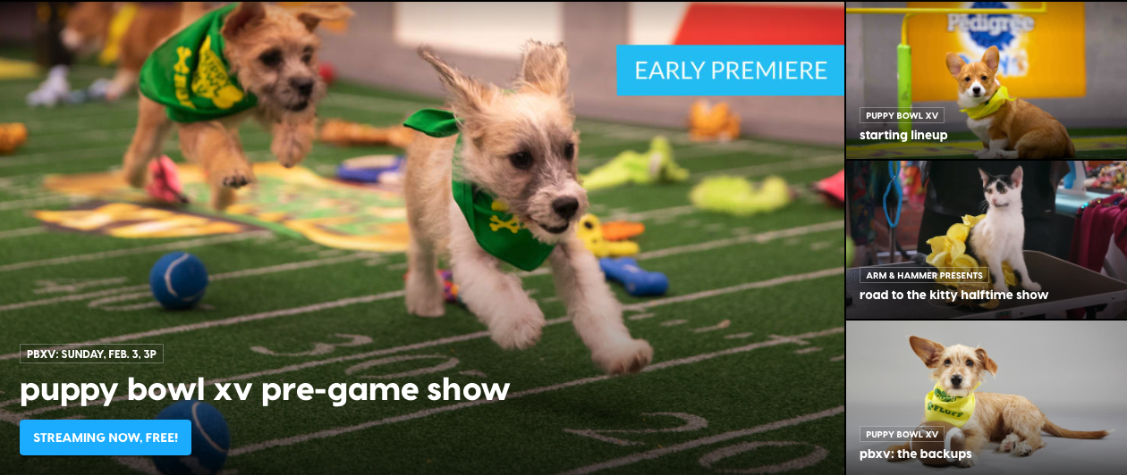 The Puppy Bowl 2019 Live Stream: How To Watch the 2019 Puppy Bowl Online