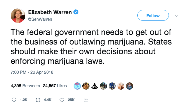 2020 democratic candidates weed elizabeth warren