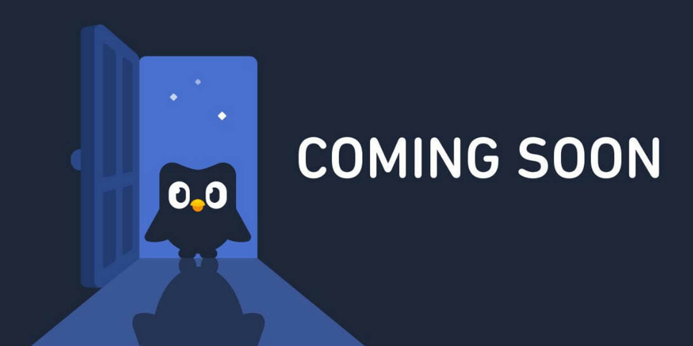 Soon Meme Owl soon-meme-owl