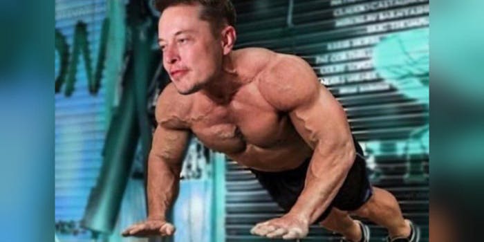 Elon Musk meme - Elon Muskular