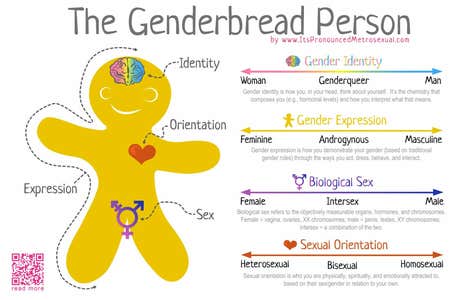 Genderbread Person