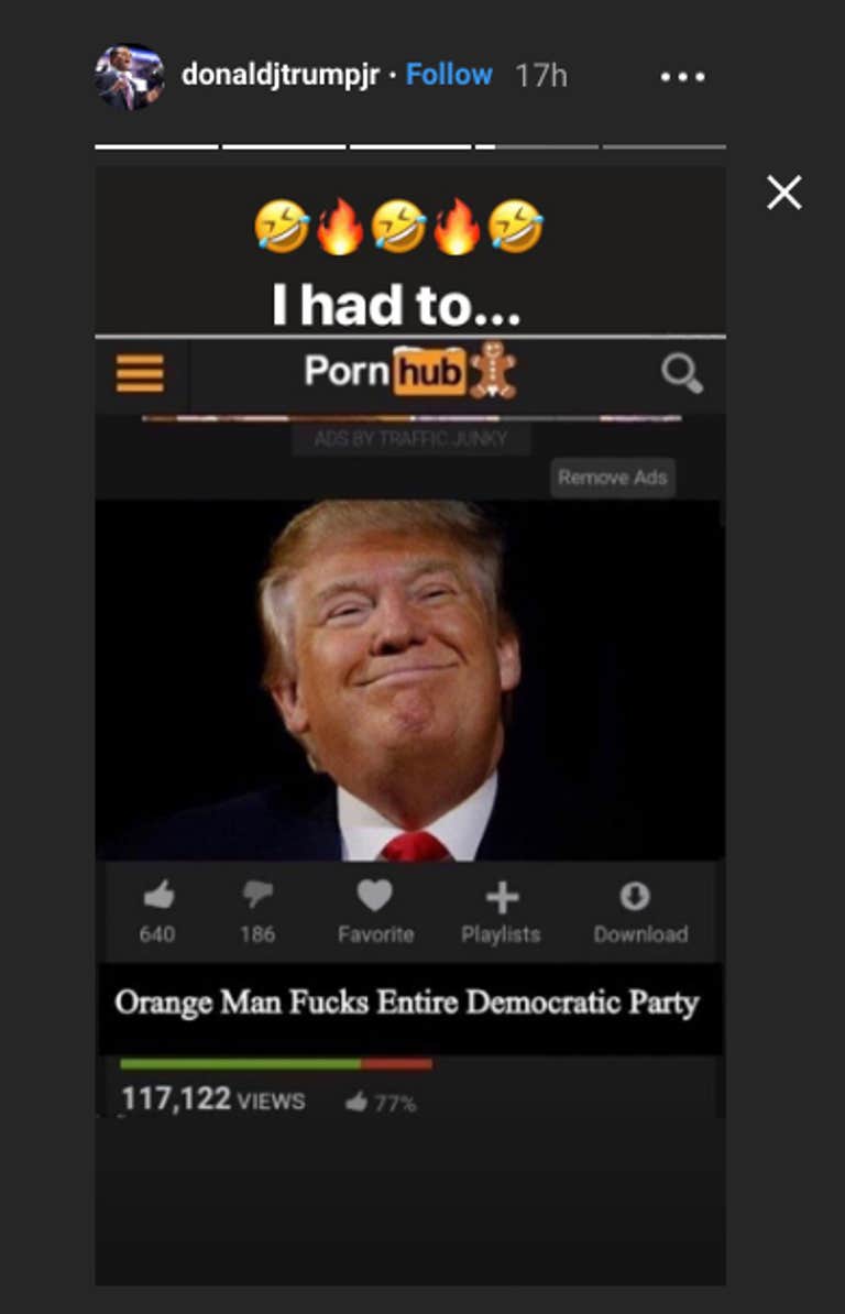 Donald Trump Jr. shares questionable meme