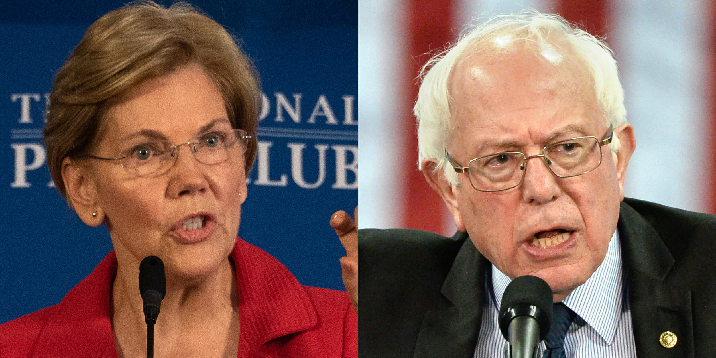 bernie sanders vs elizabeth warren