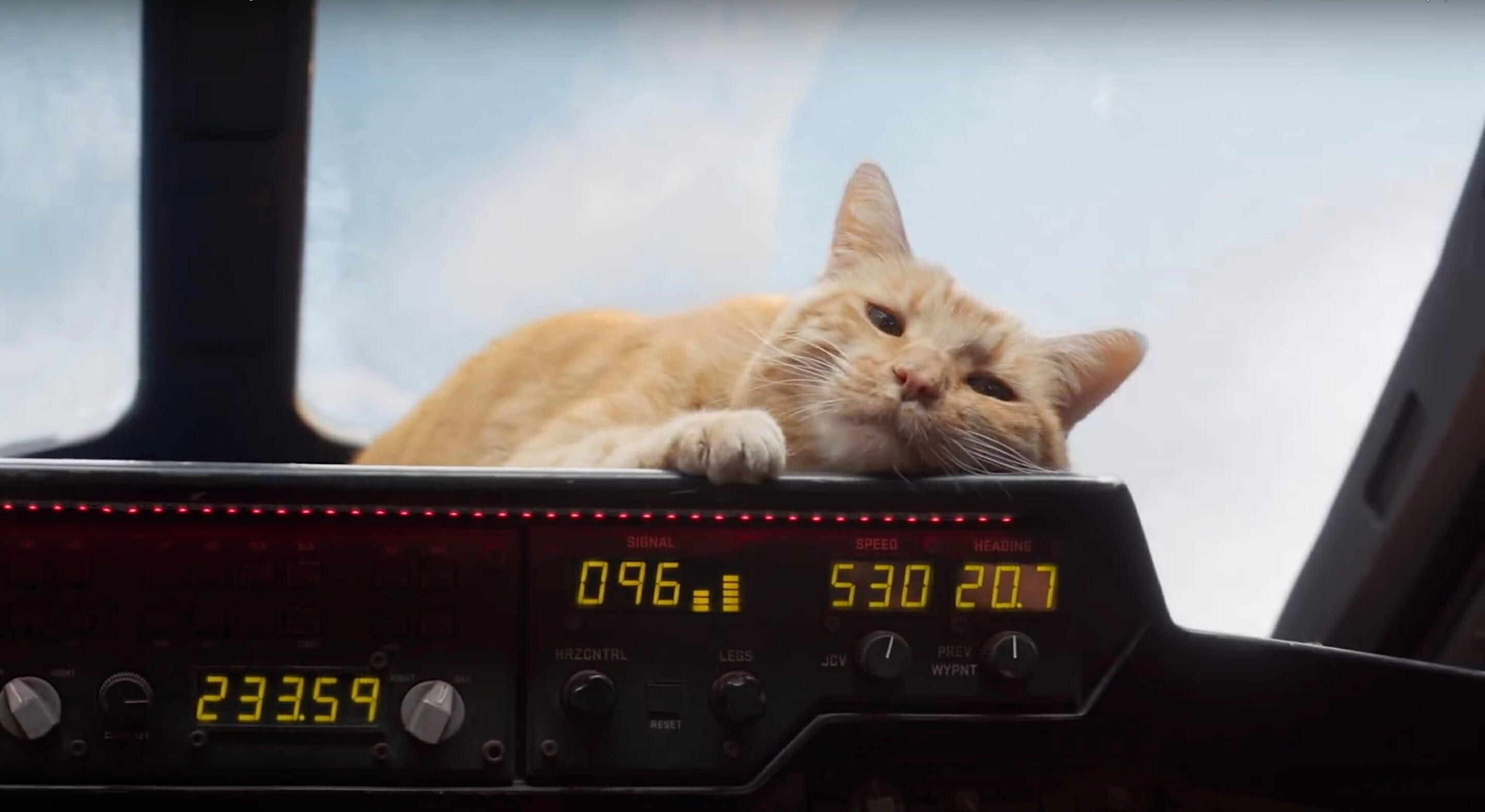 captain marvel post credits scene goose the cat