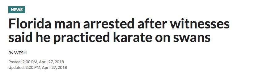 florida man karate swan