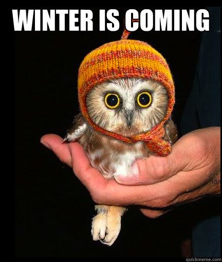 game of thrones winter is coming owl meme