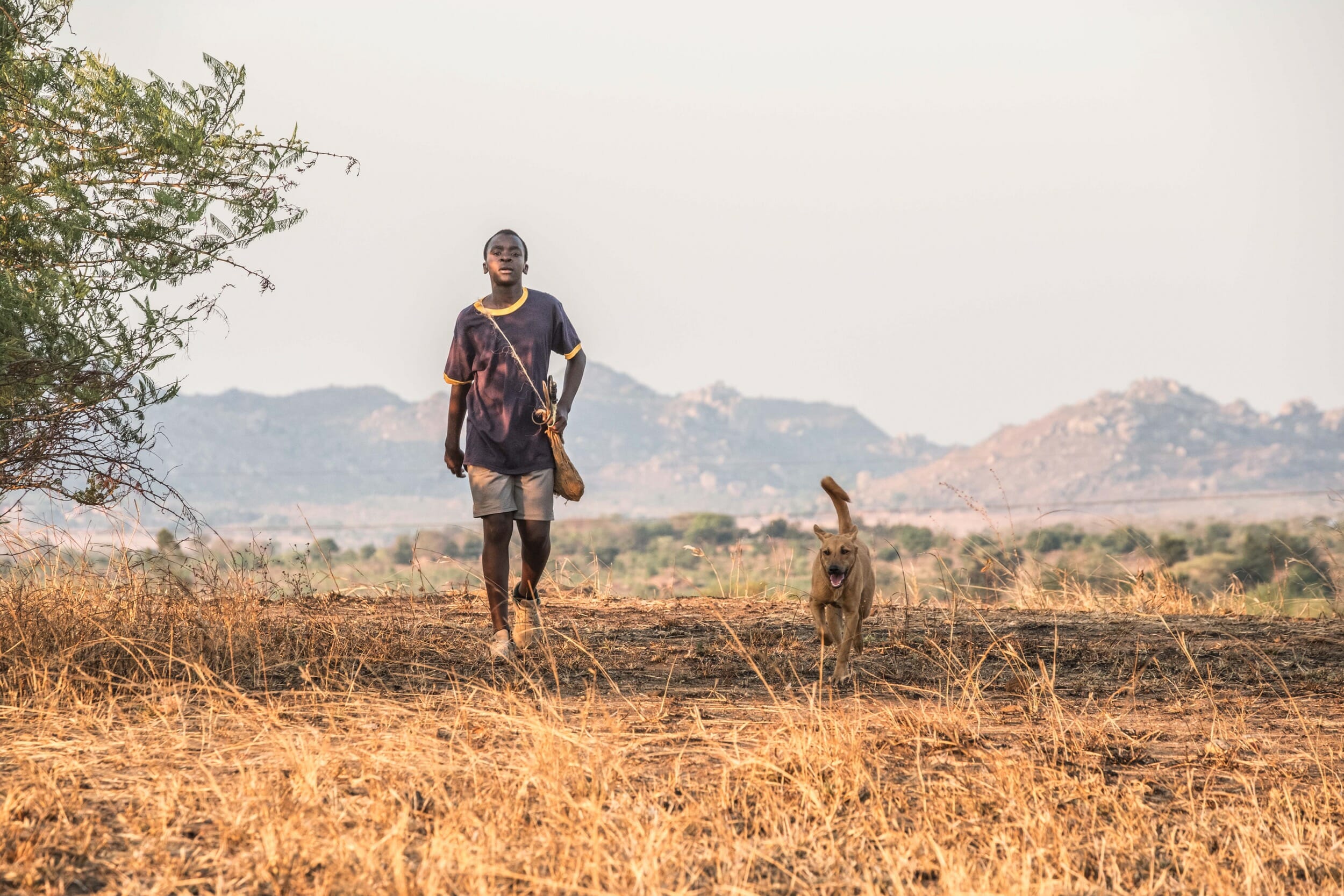 netflix the boy who harnessed the wind review