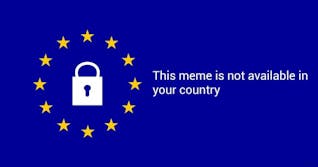 what is article 13