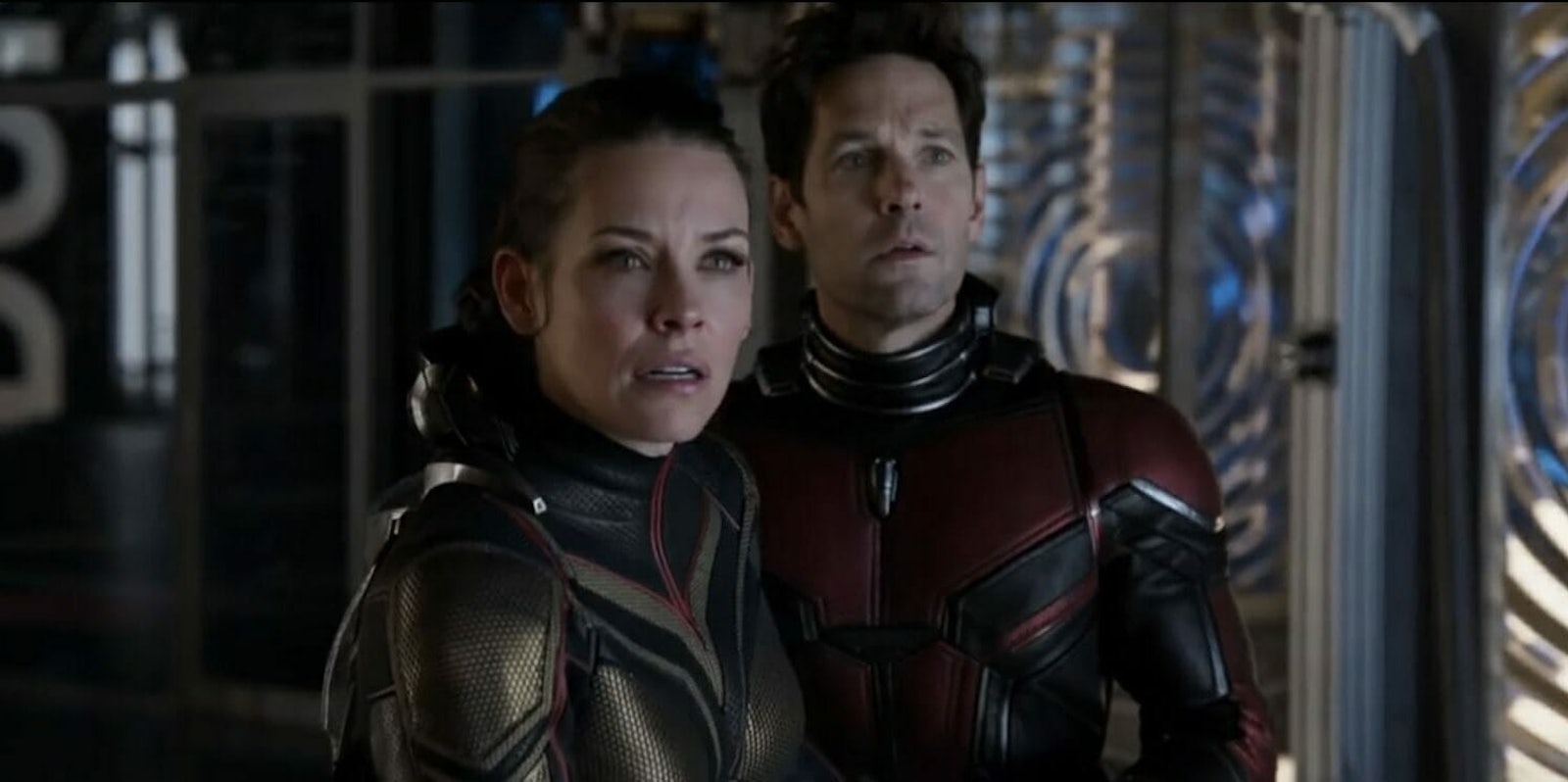 Antman and the Wasp best marvel