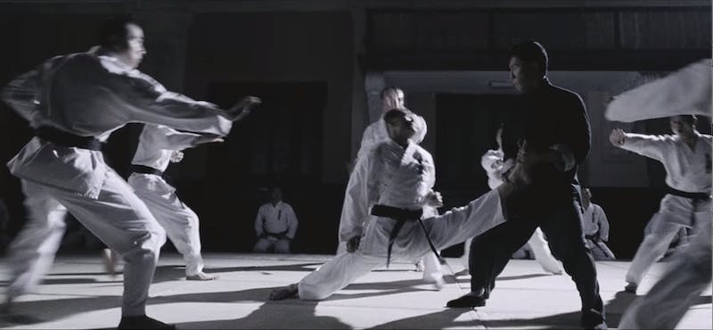 best martial arts movies netflix - ip man