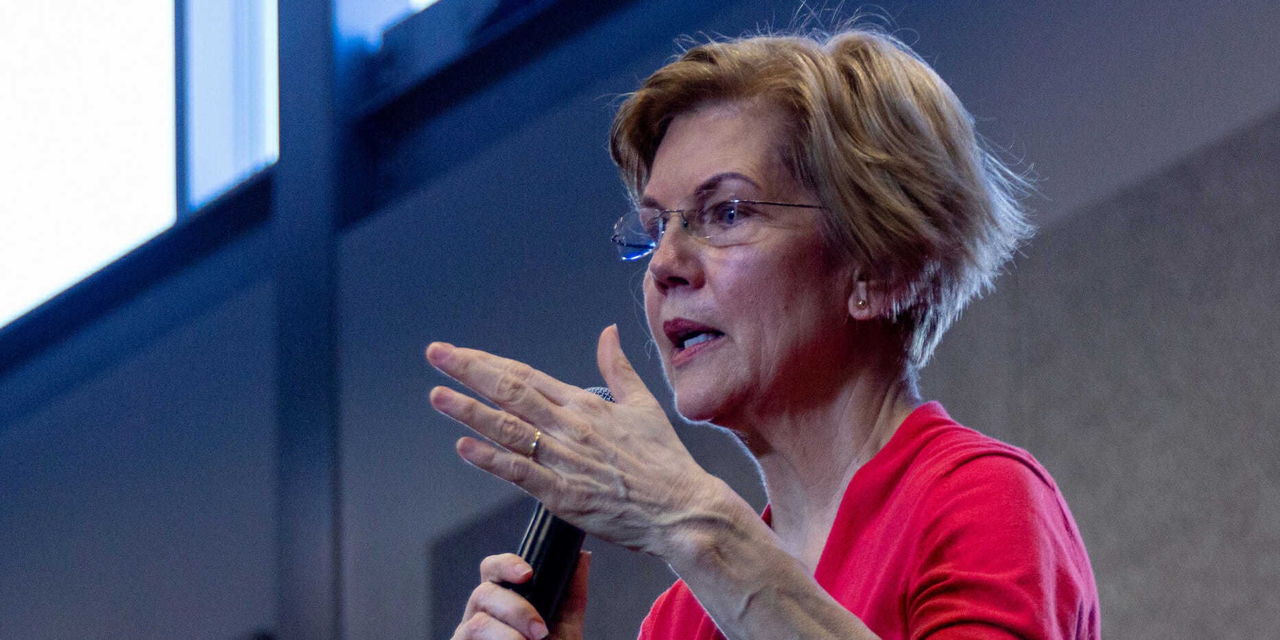 Elizabeth Warren 2020 platform issues