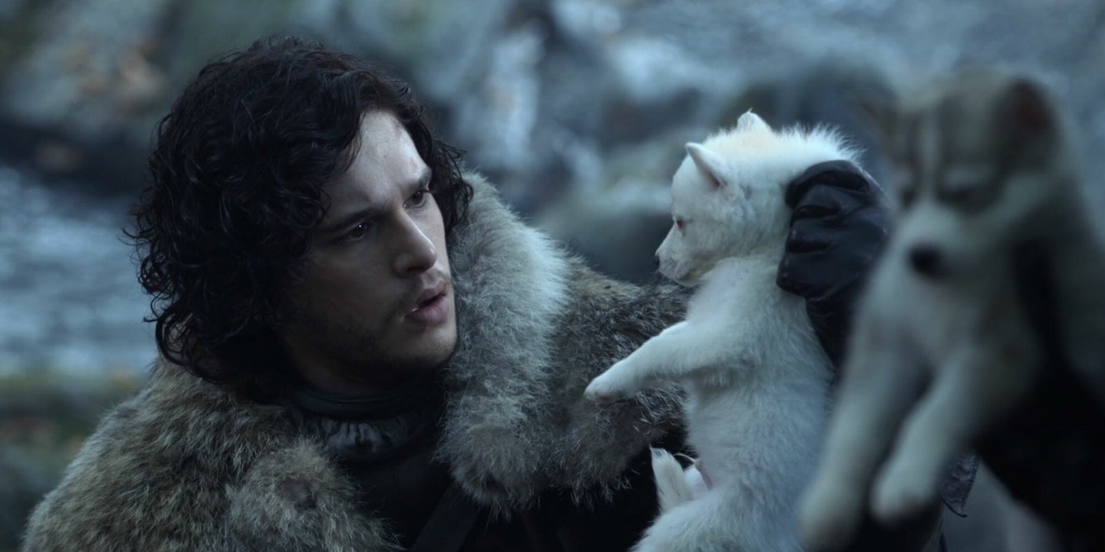 game of thrones direwolves living