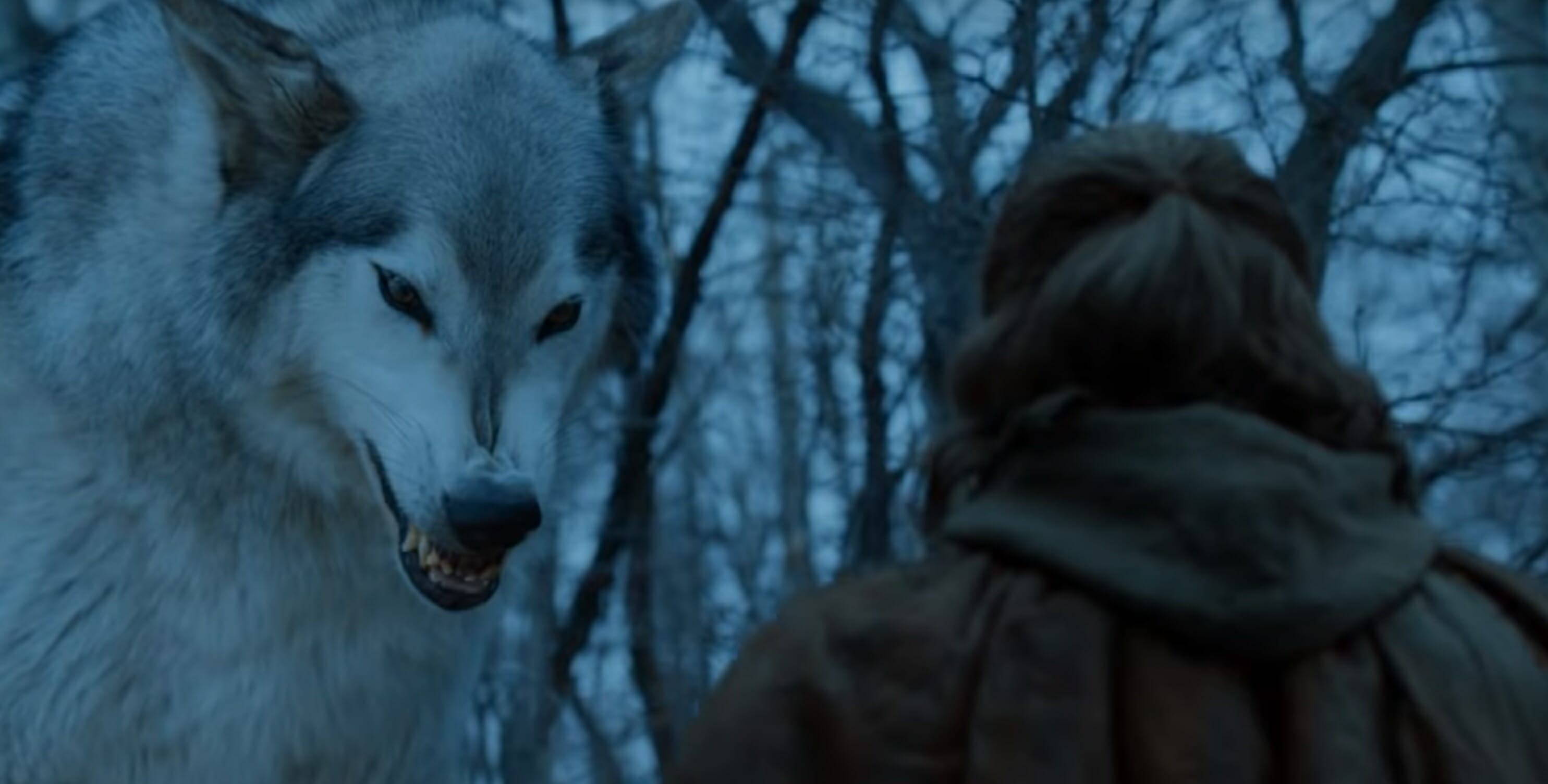 game of thrones direwolves nymeria