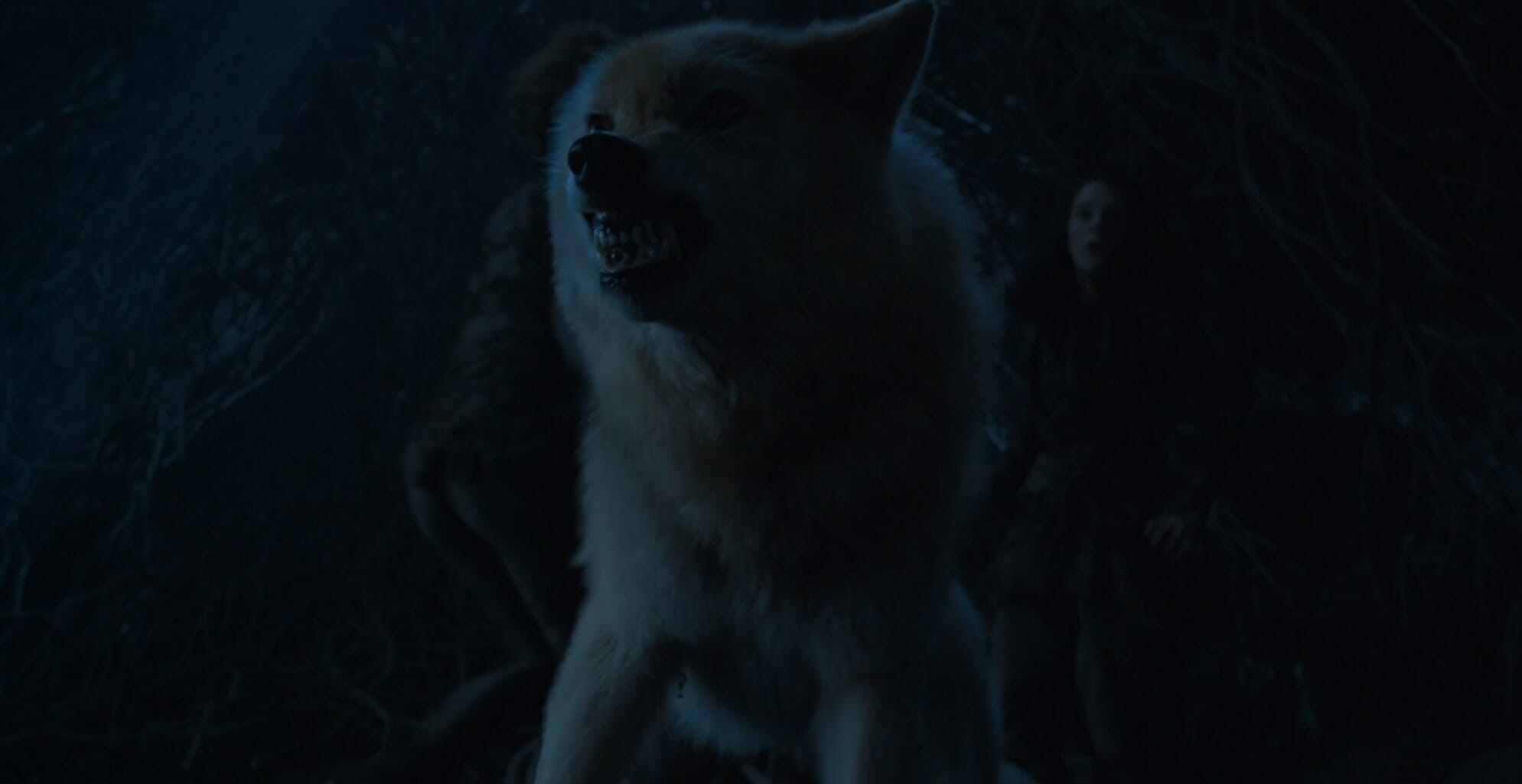 game of thrones direwolves summer