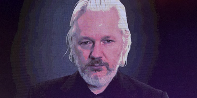 Julian Assange screen