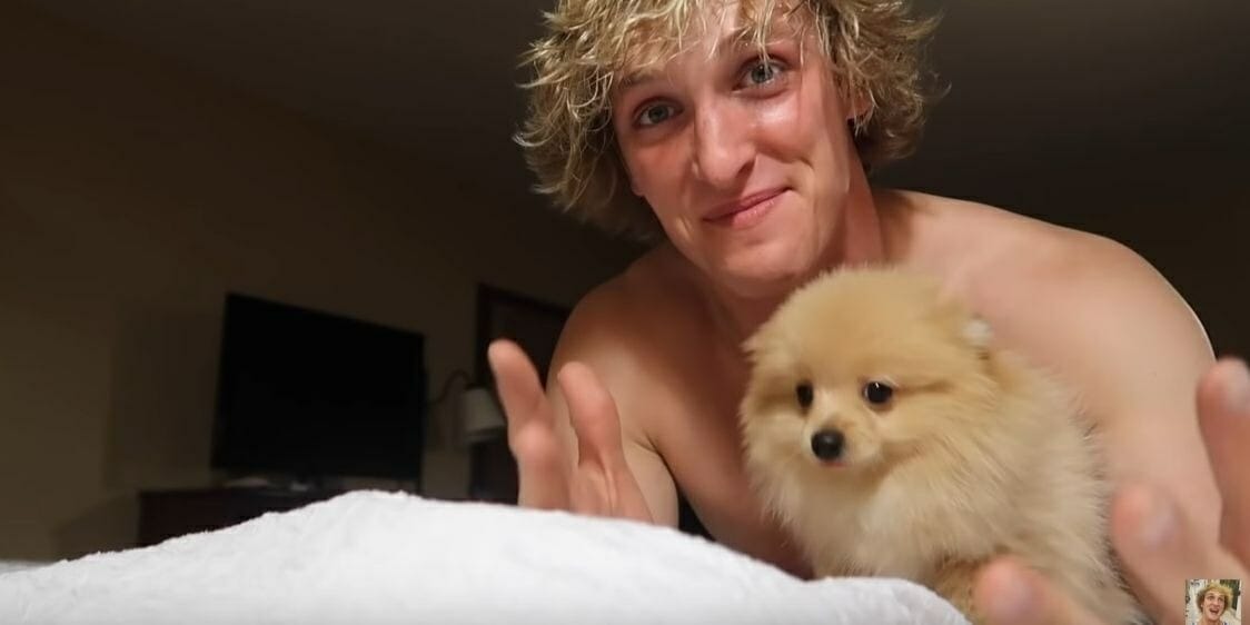 Logan paul and his hot sale dog