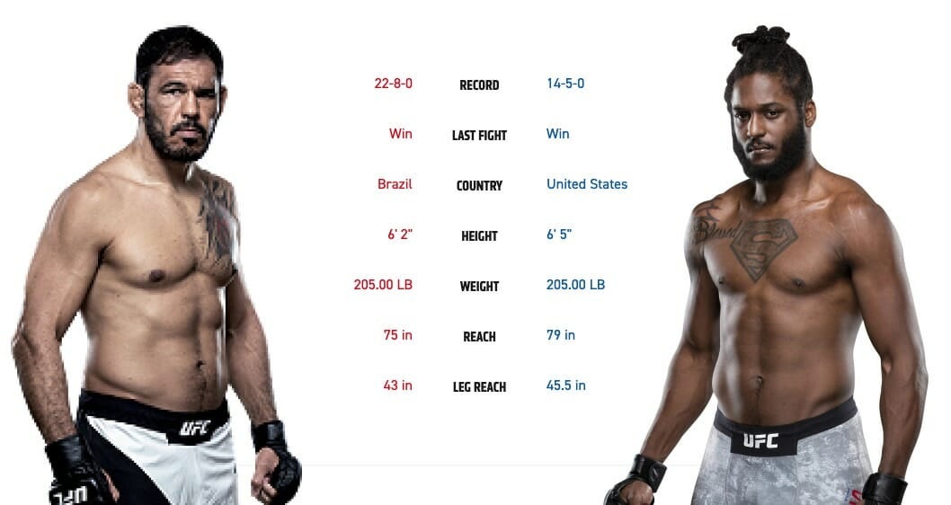 ufc 237 Antônio Rogério Nogueira vs. Ryan Spann