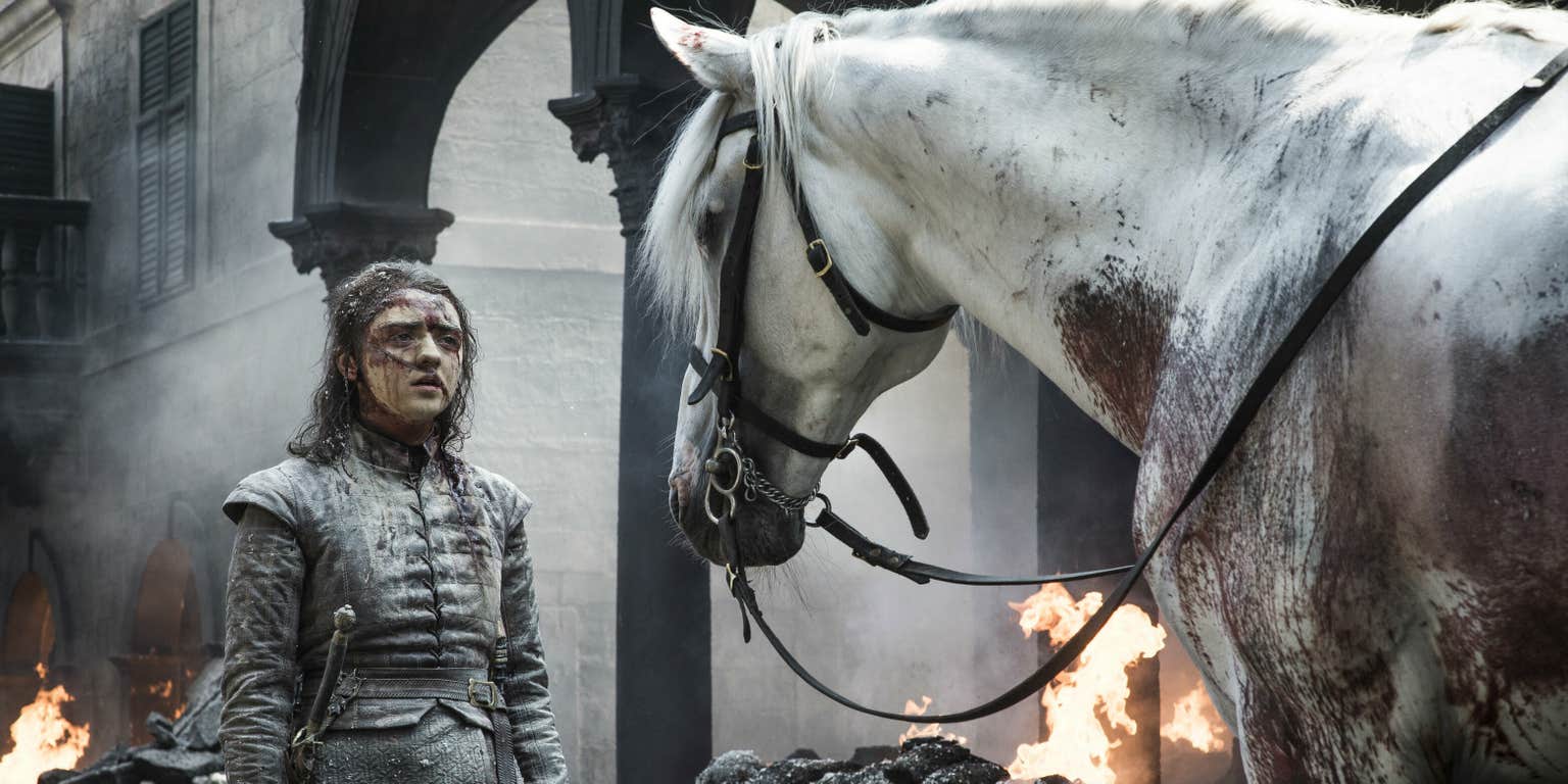 Game of Thrones Arya's White Horse Inspires Uber Memes