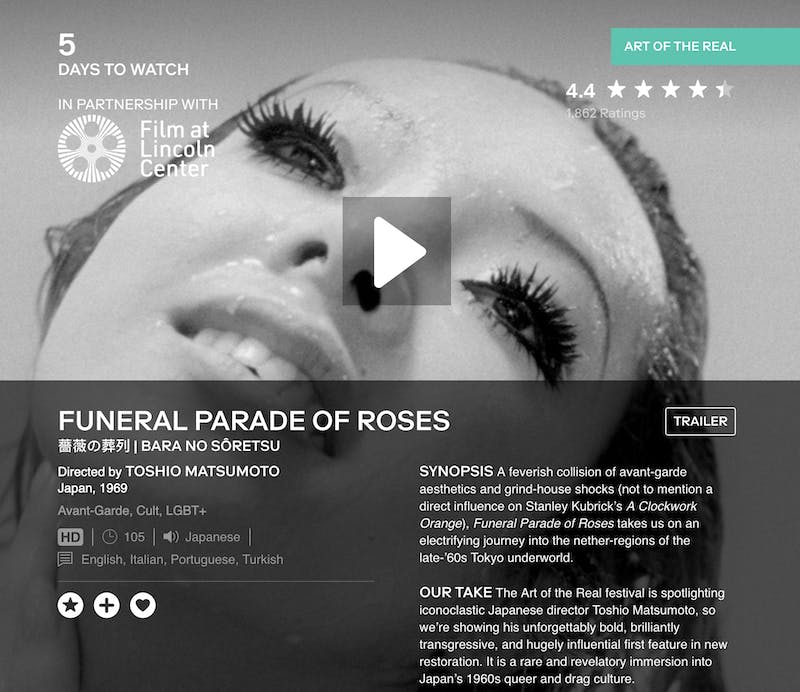 mubi price features movies - funeral parade of roses