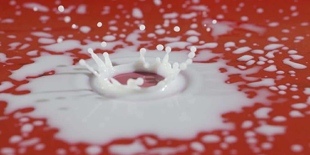 Redditor Secretly Feeds His Vegan Girlfriend Dairy to See If She's Lying