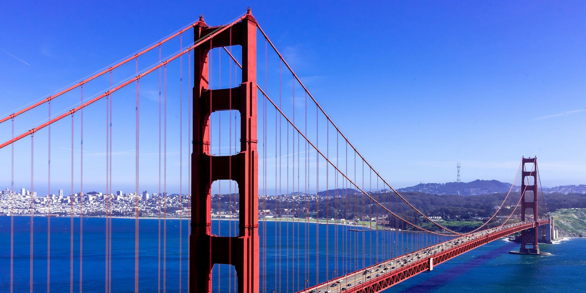 Homepage article image