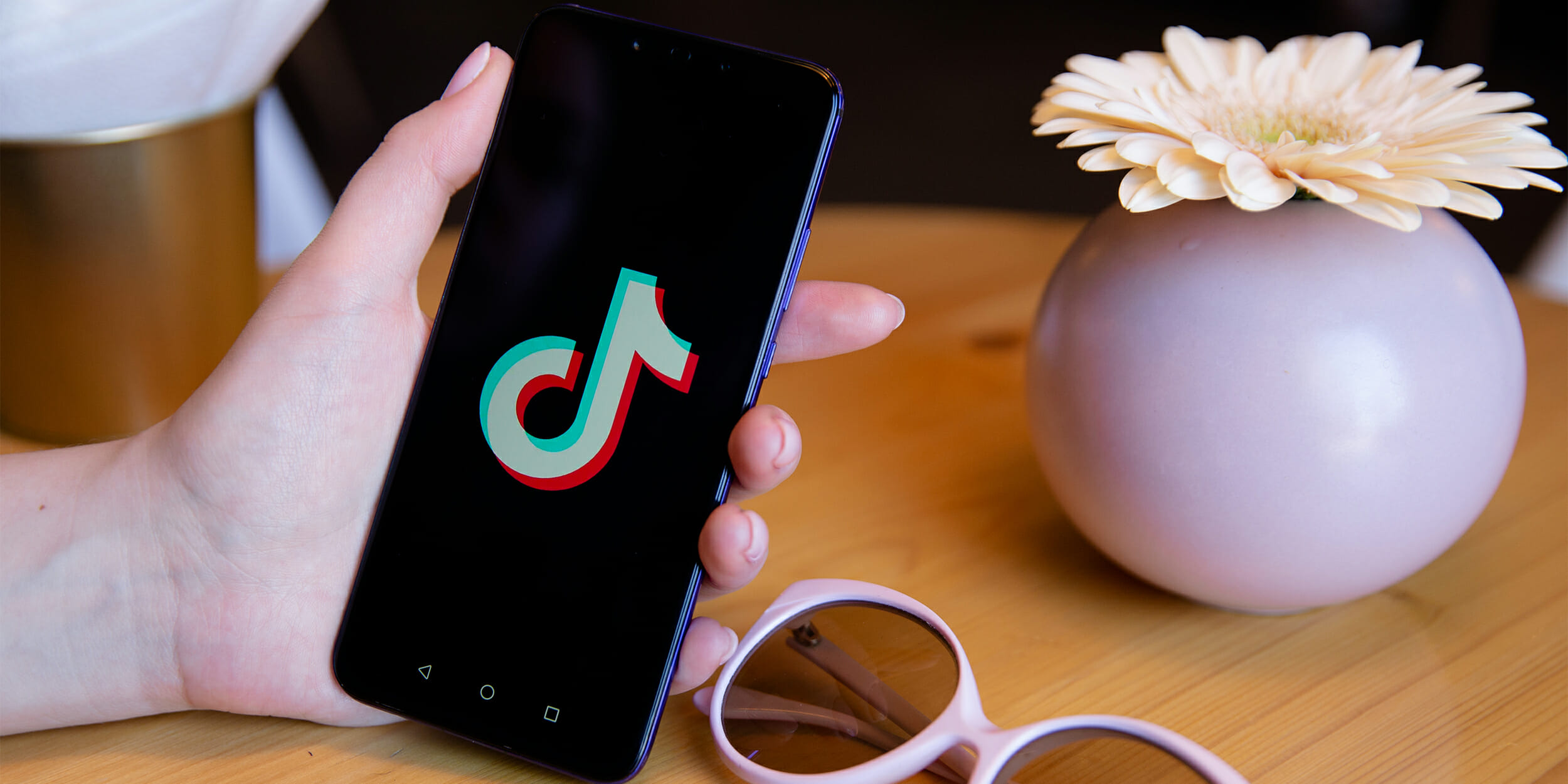 tik tok video download online free username search