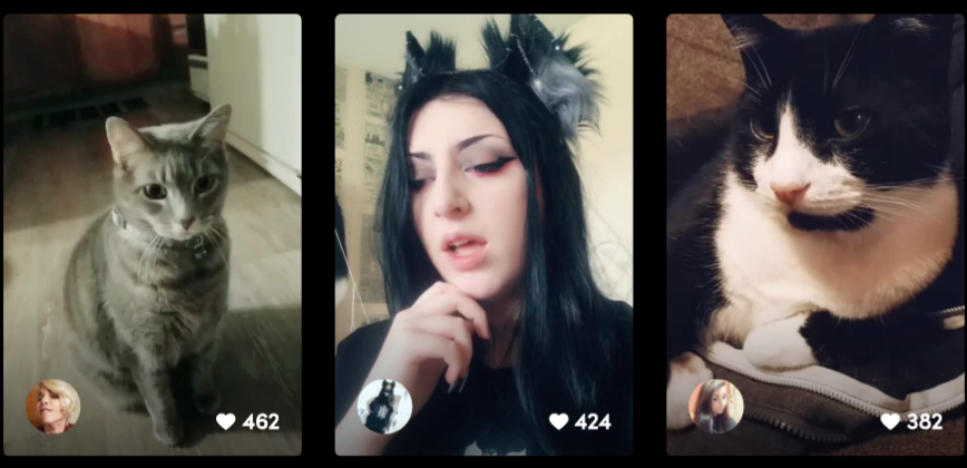 best tiktok memes