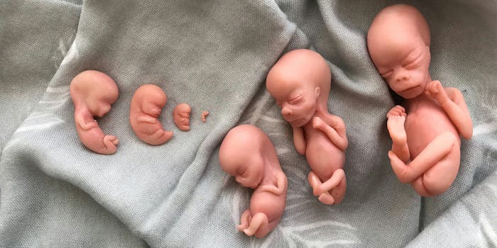 fetal training dolls