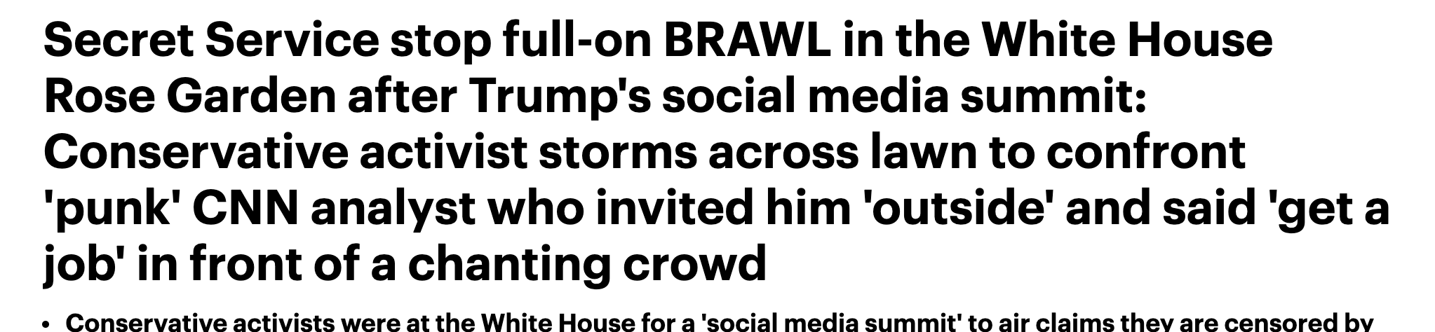 daily mail gorka brawl