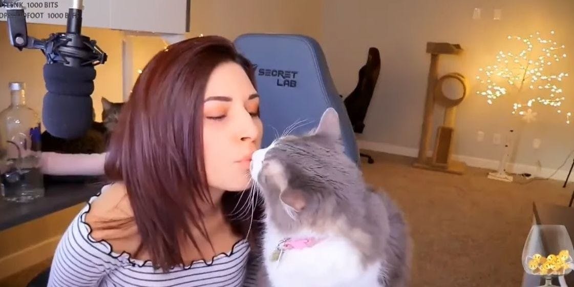 Alinity Divine Is Still On Twitch After Throwing Her Cat