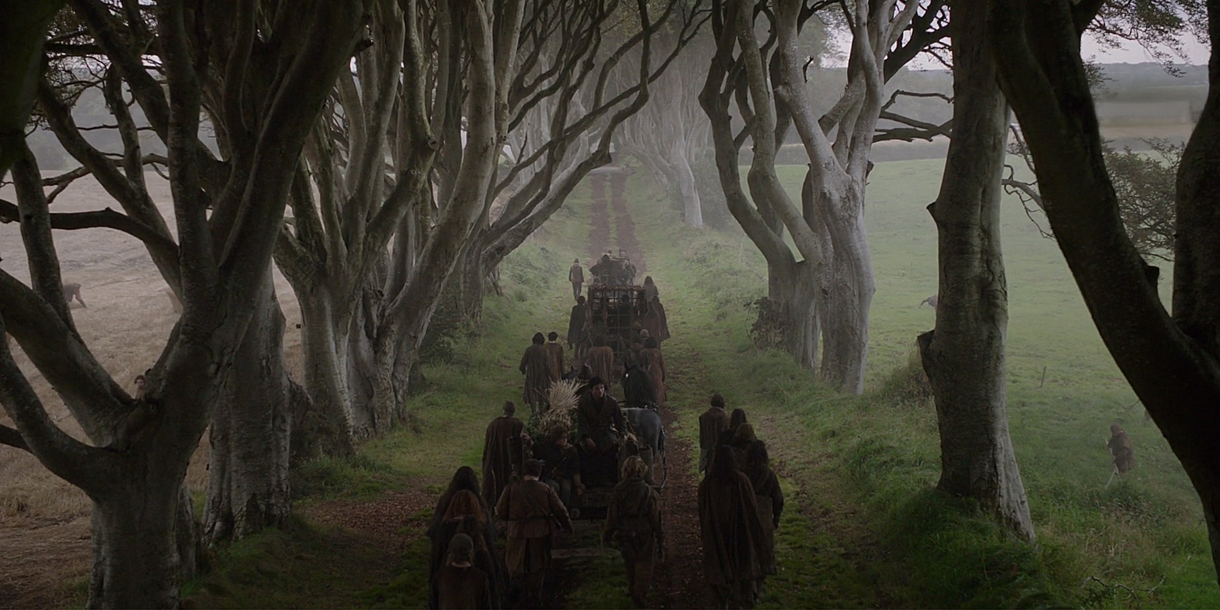 game of thrones dark hedges kings road