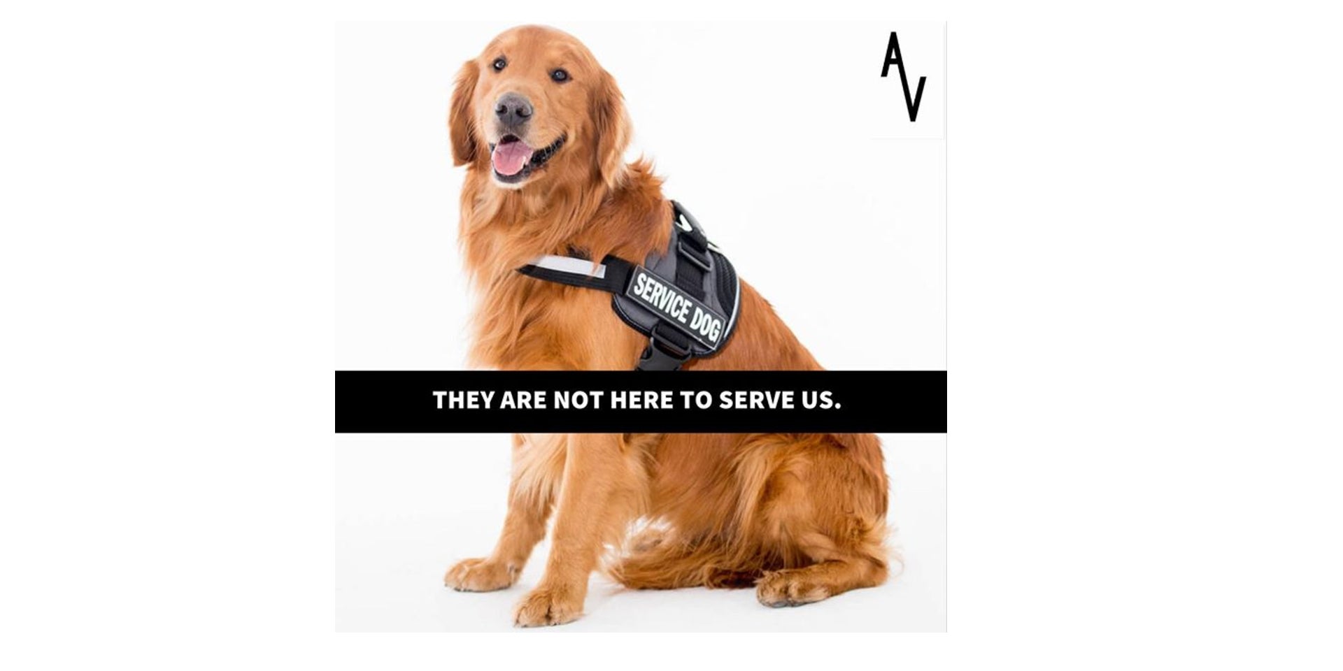 vegans service animals