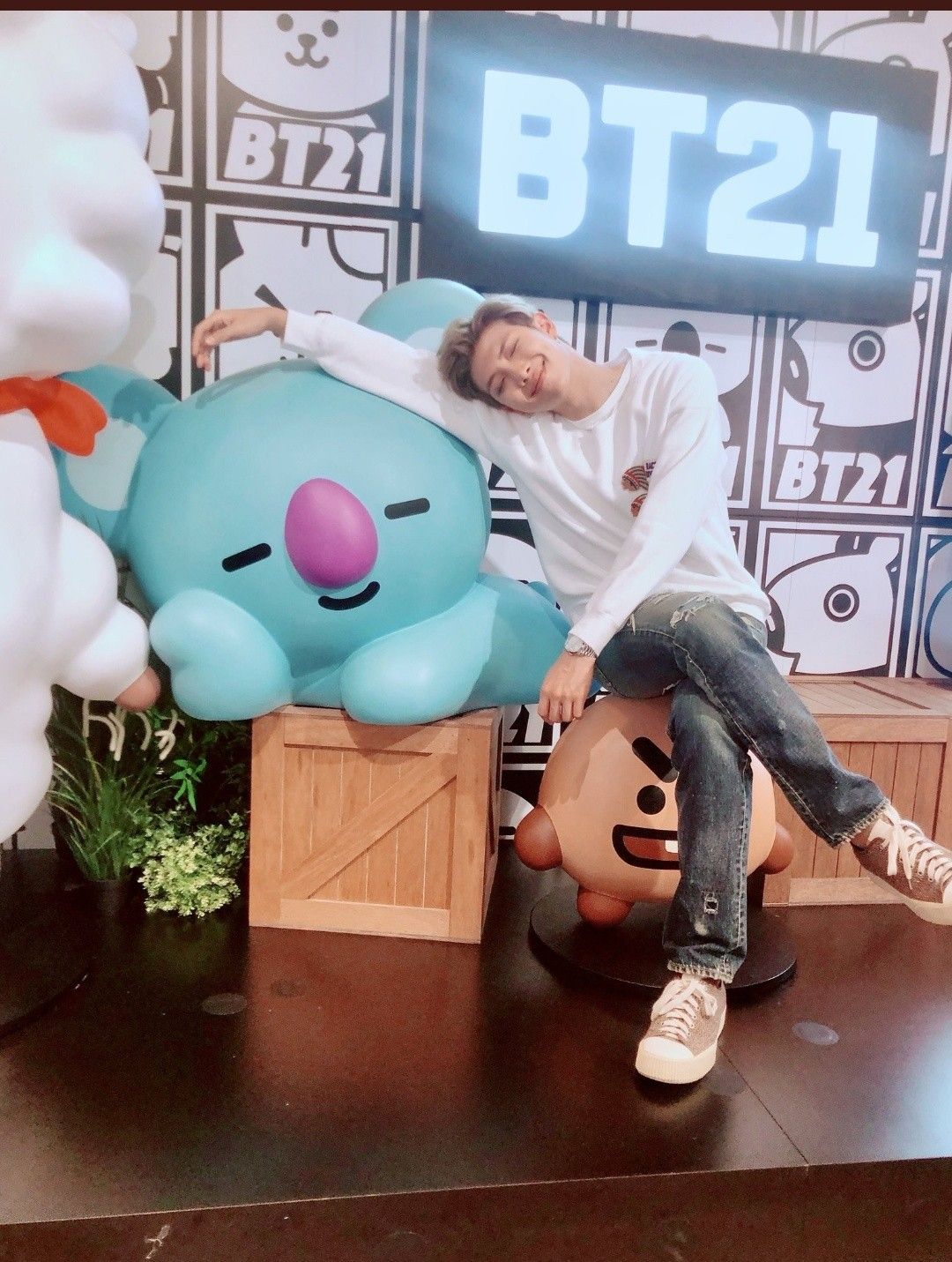 BT21 Koya
