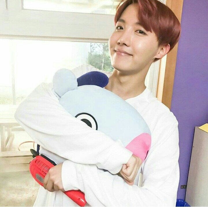 BT21 Mang J-Hope