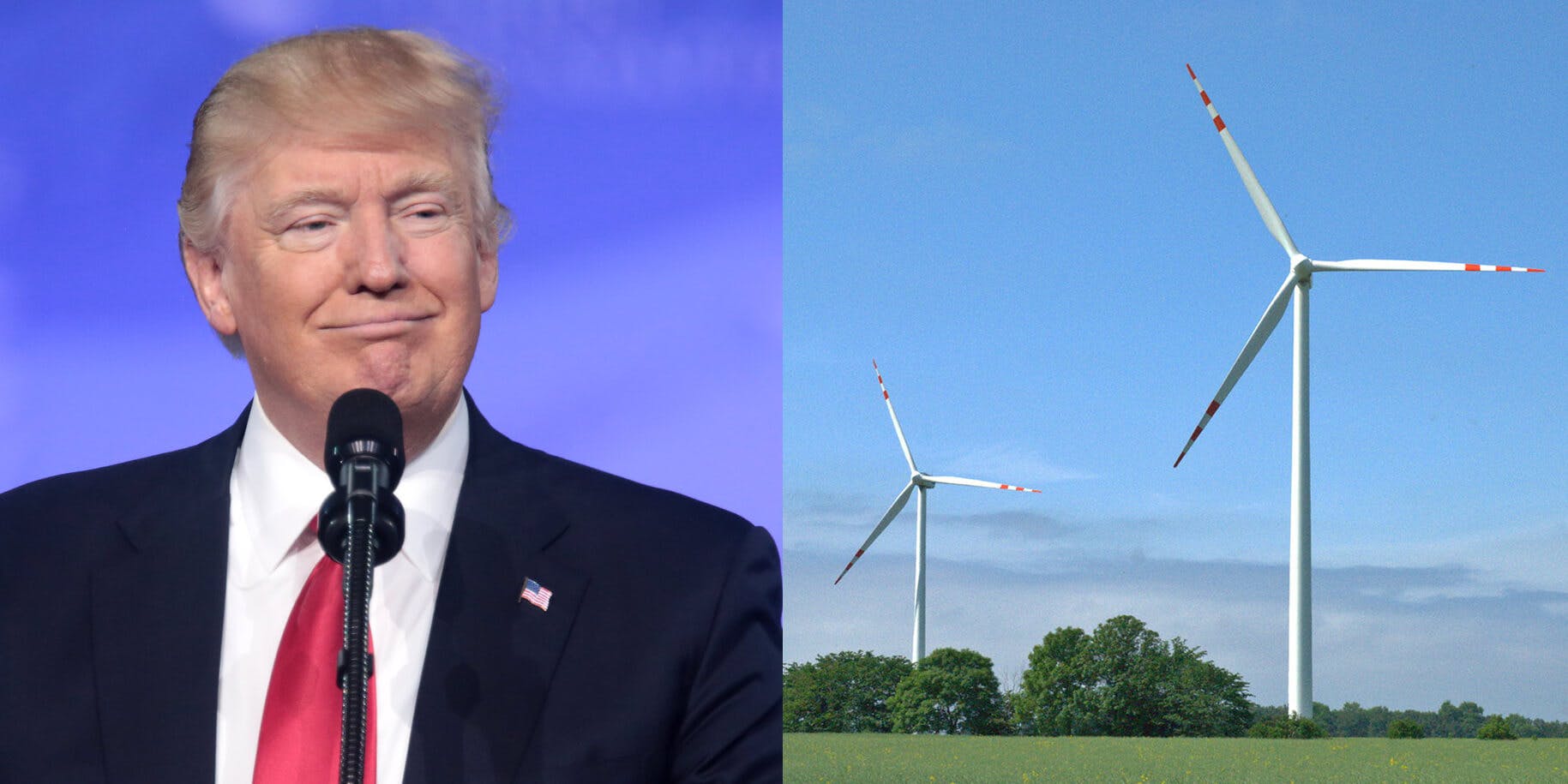 Donald Trump Says Dreams And Windmills Would Stifle Energy Wealth