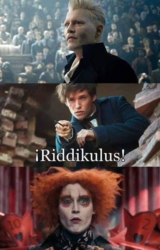 Harry Potter memes - Grindelwald