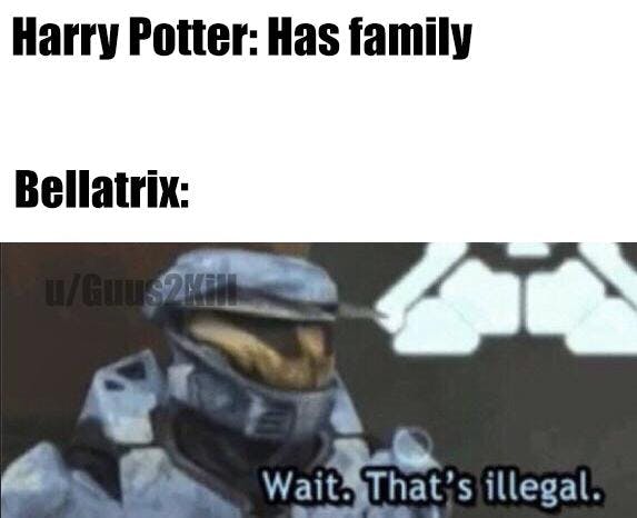 Harry Potter memes - family