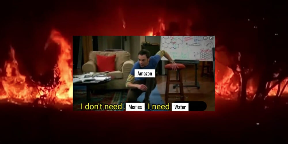amazon-rainforest-fire-memes