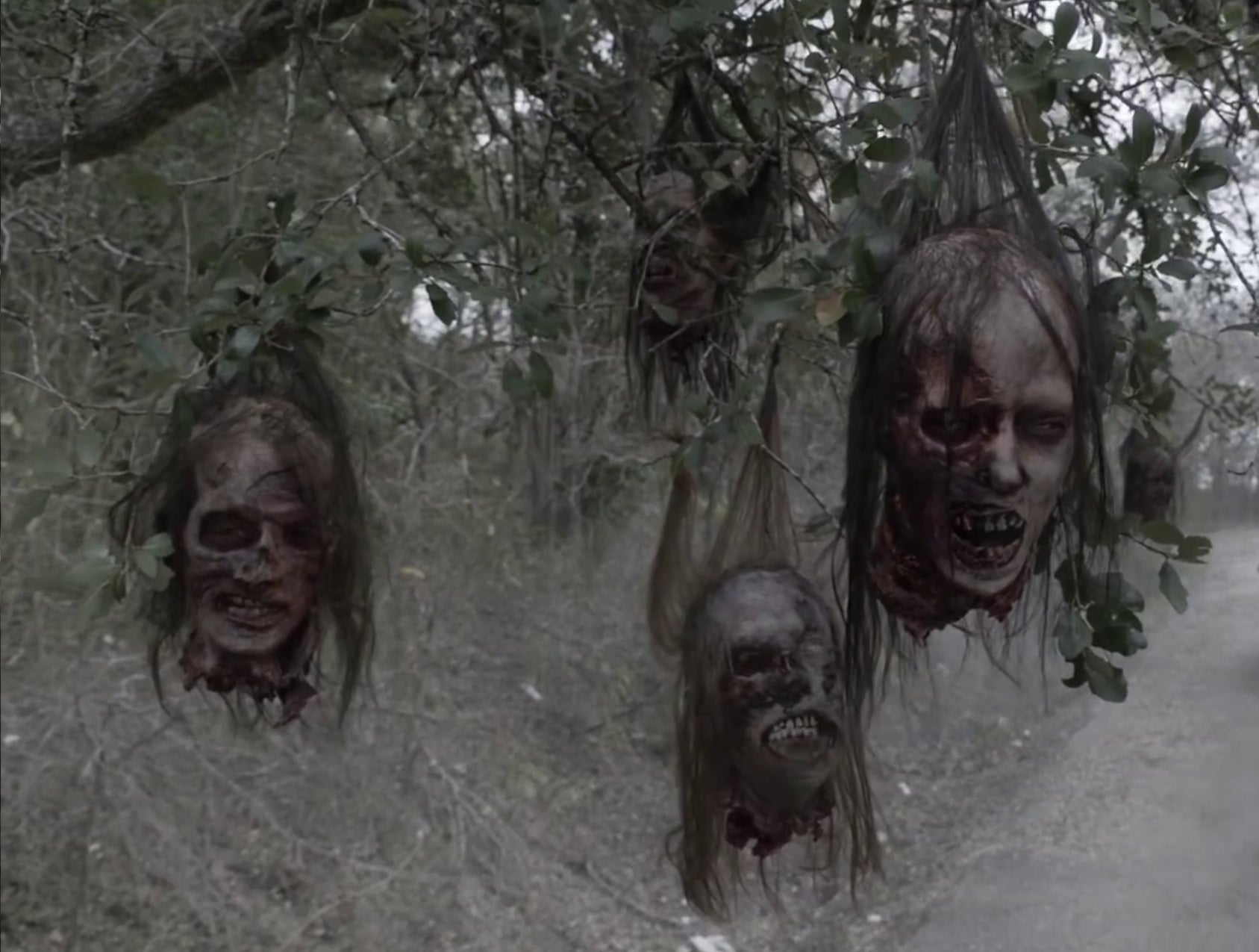 fear the walking dead cast