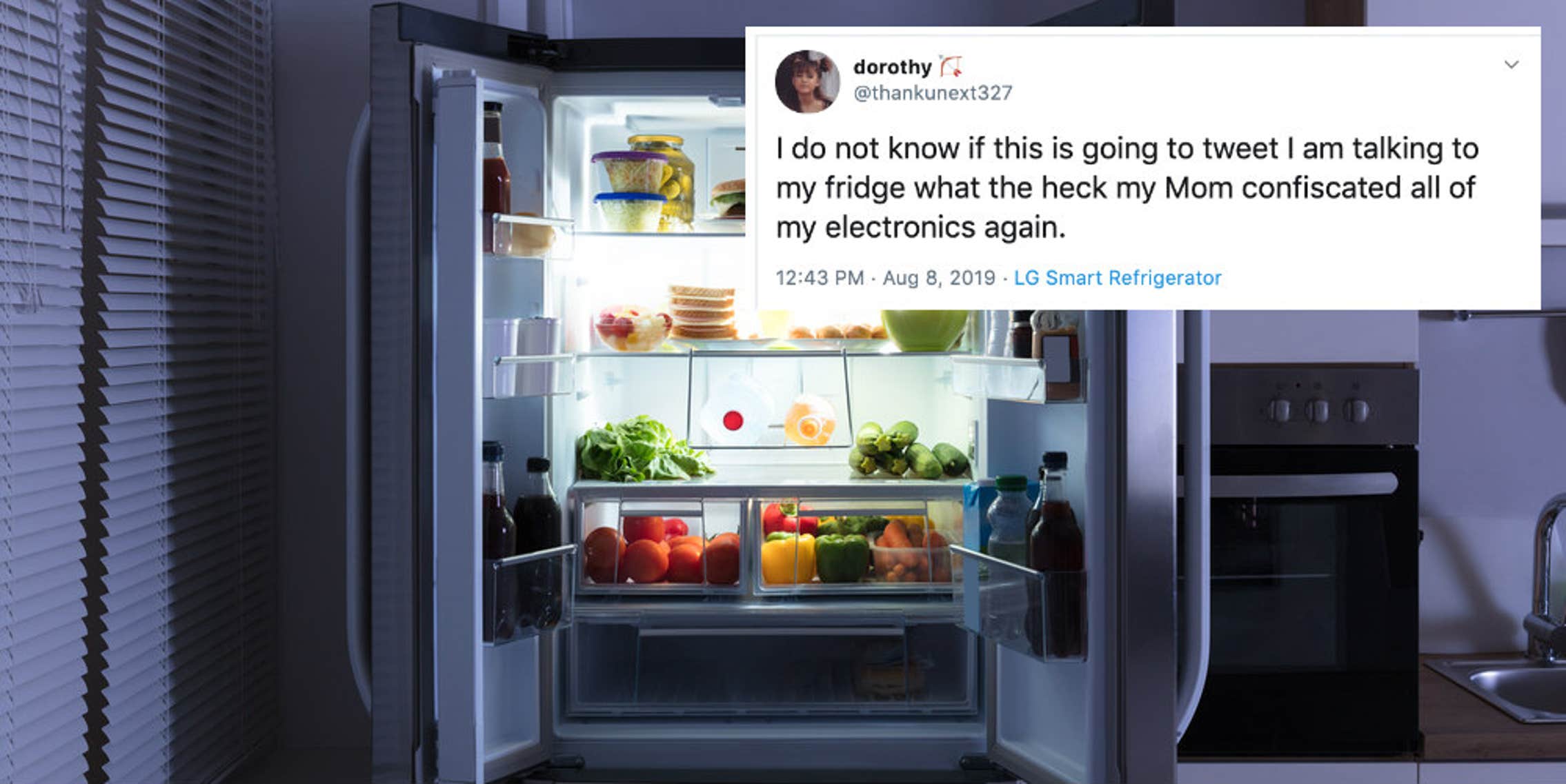 Teen Tweets From LG Smart Fridge After Grounding