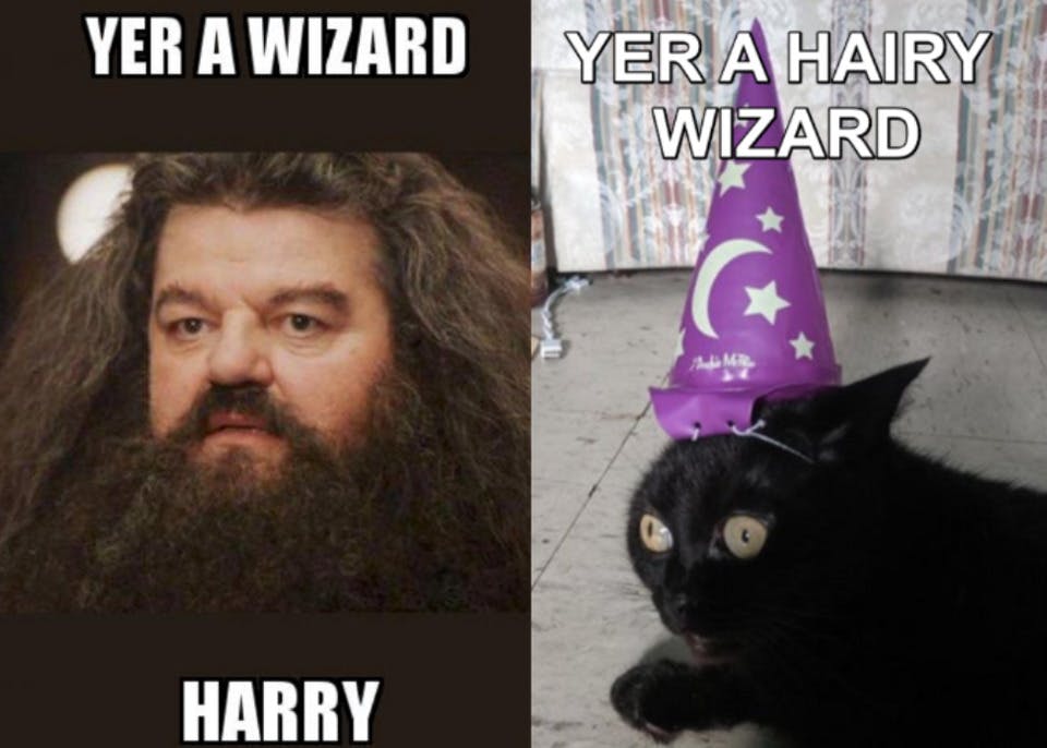 Harry Potter memes - hairy wizard